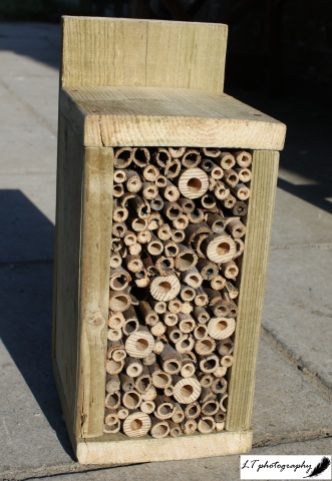 Finished Bee Hotel